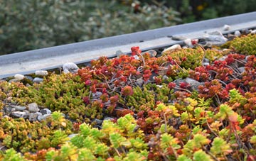 the cost of Melbury Osmond green roof installation