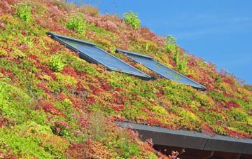 Melbury Osmond living roof systems