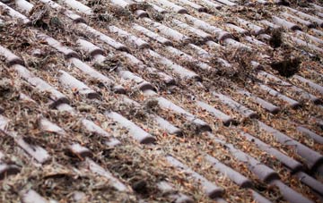 Melbury Osmond roof cleaning companies