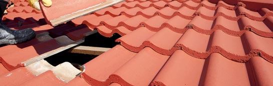 compare Melbury Osmond roof repair quotes