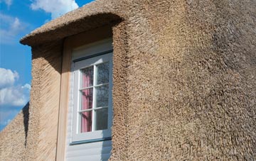 Melbury Osmond thatch roof disadvantages